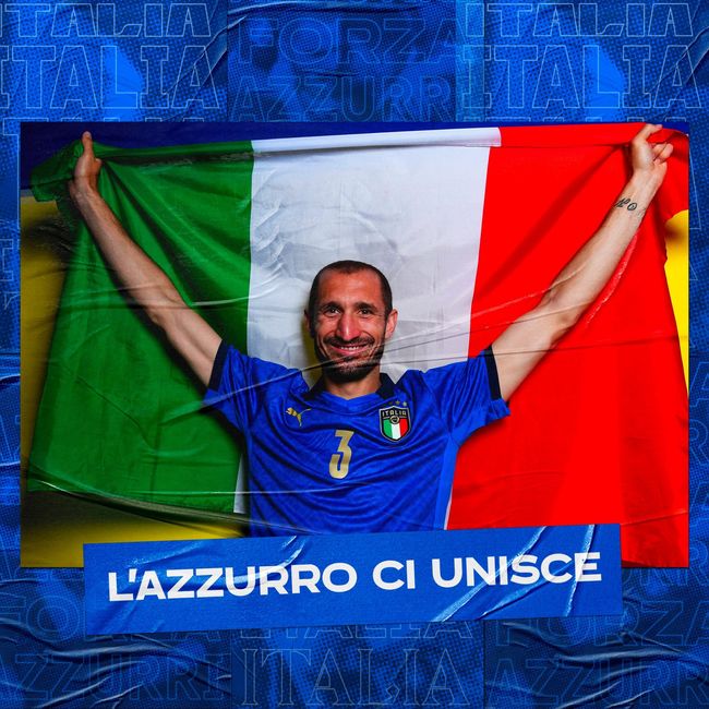 表现出极高 表现出极高