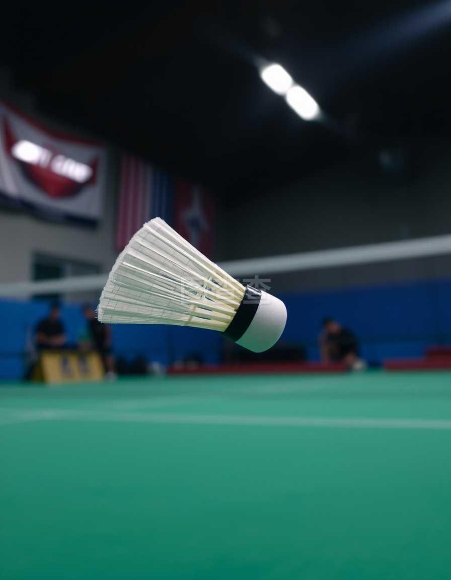 并提升搜索 并提升搜索