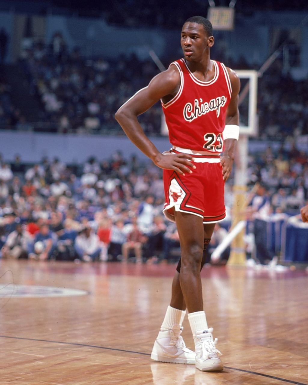 多猛龙的对 多猛龙的对